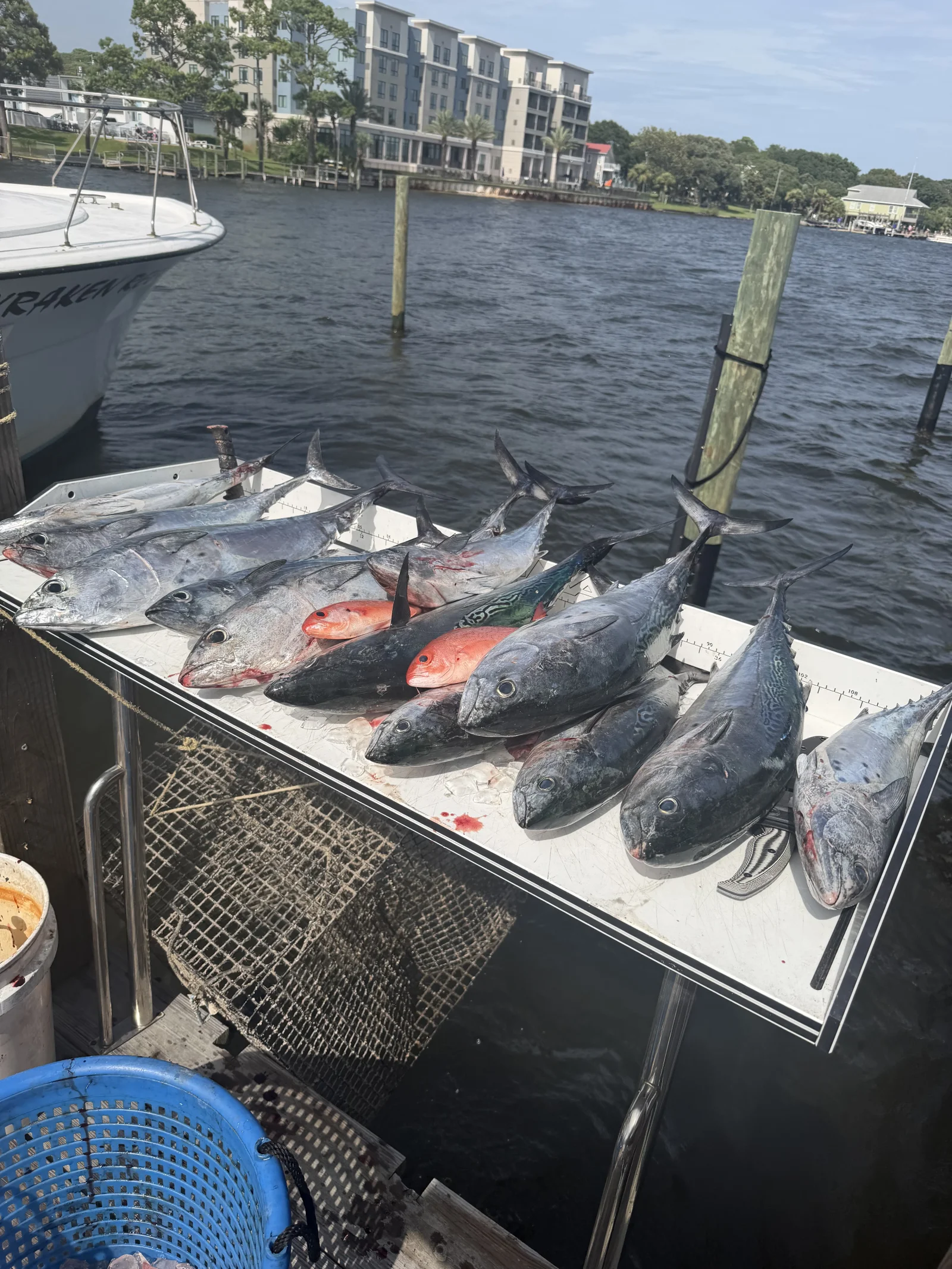 Fishing in Destin
