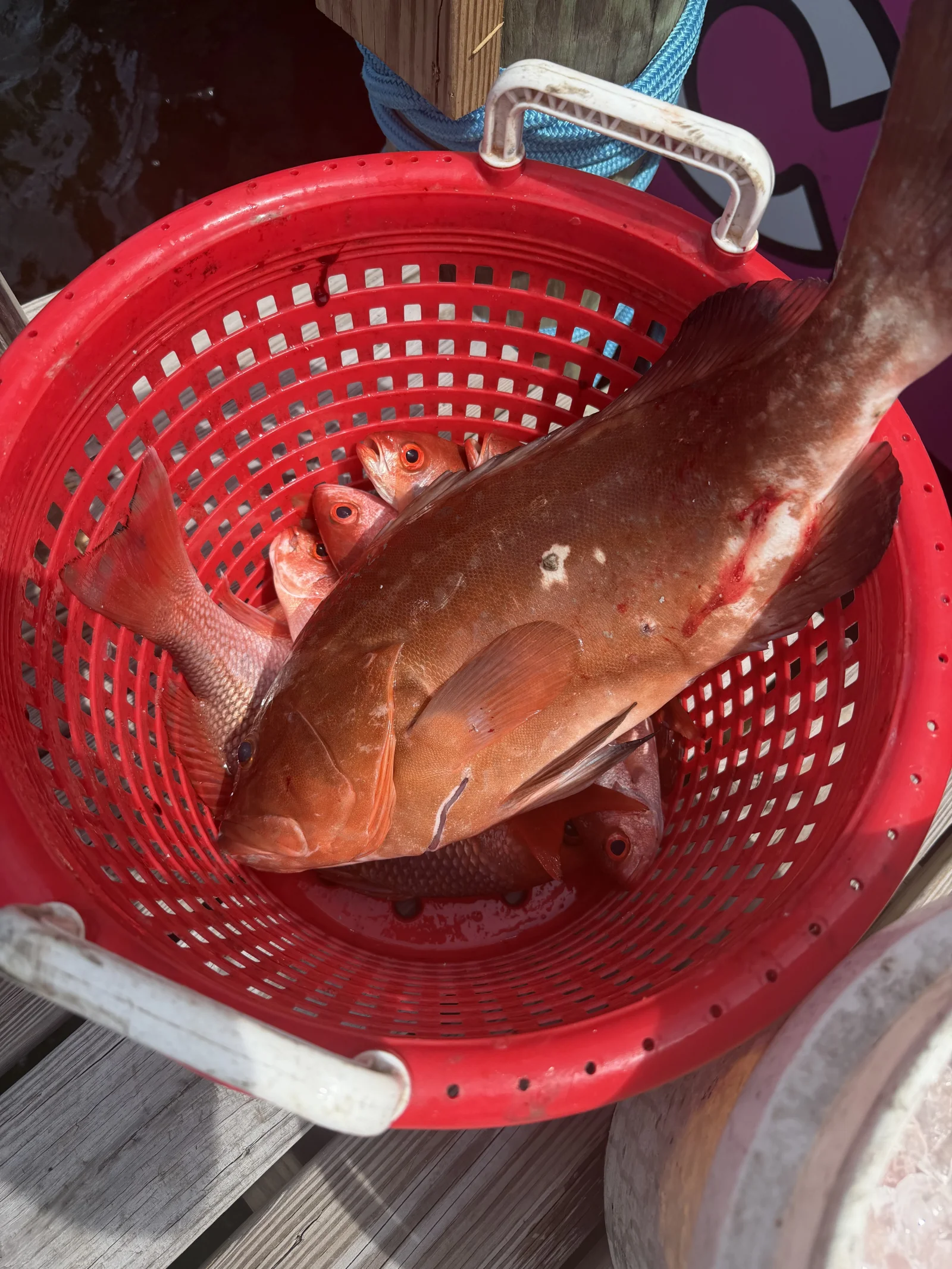 Fishing in Destin
