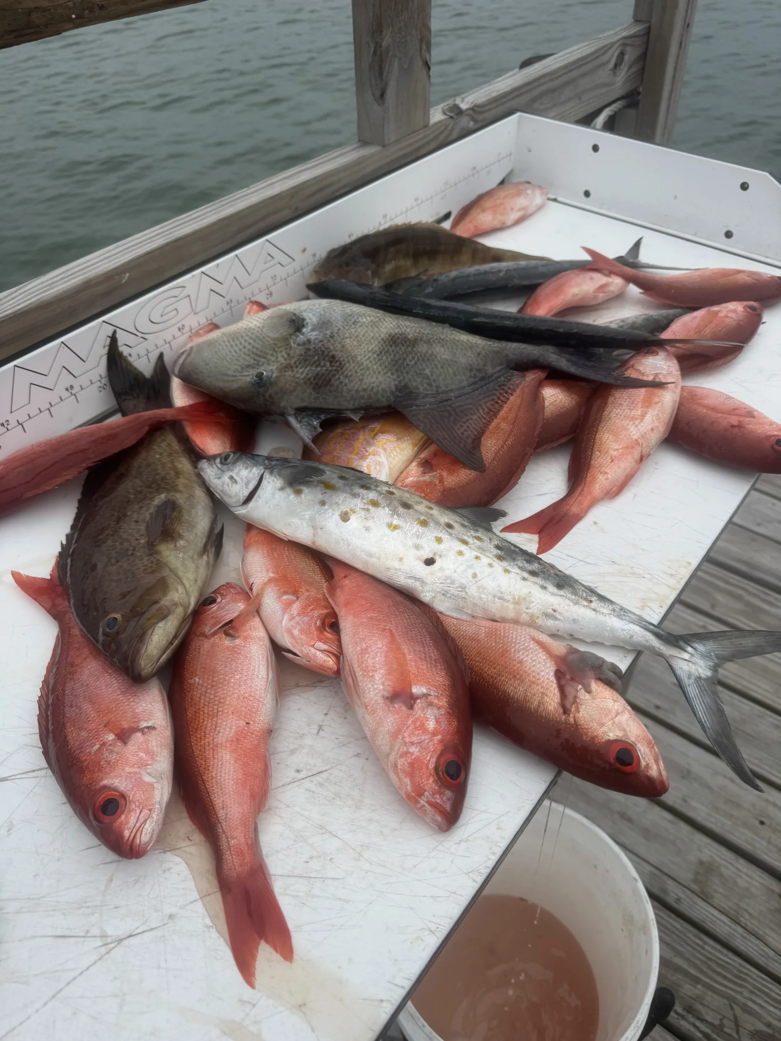 Fishing in Destin