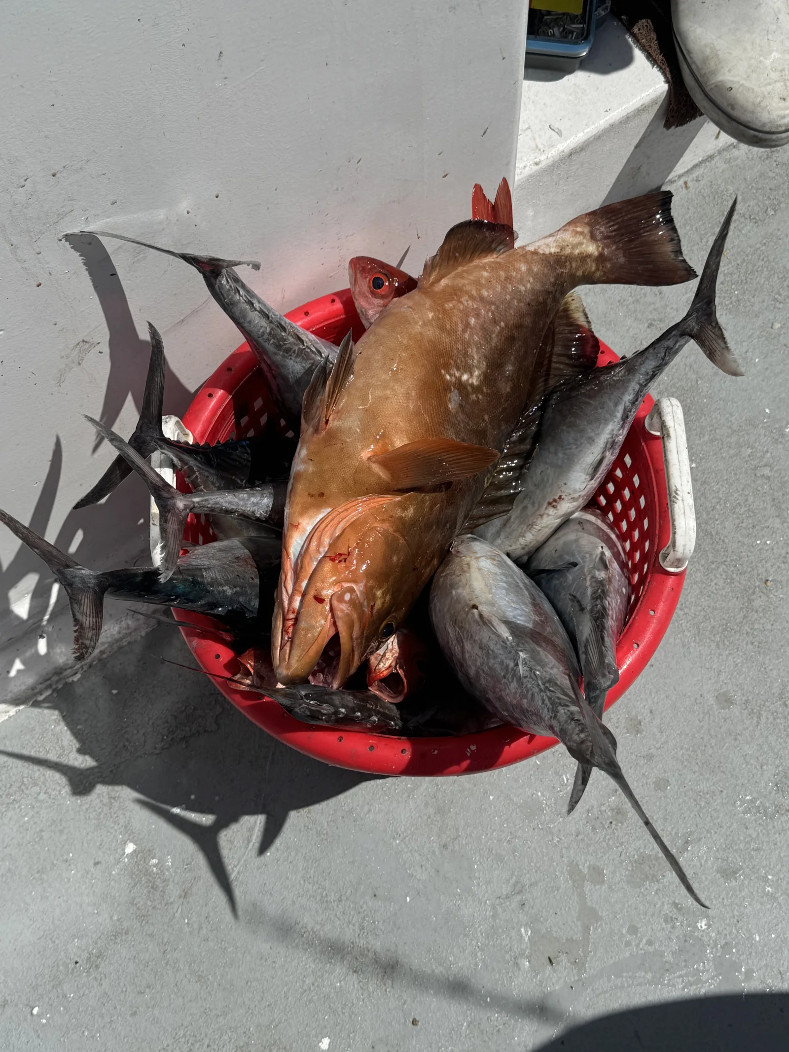 Fishing in Destin