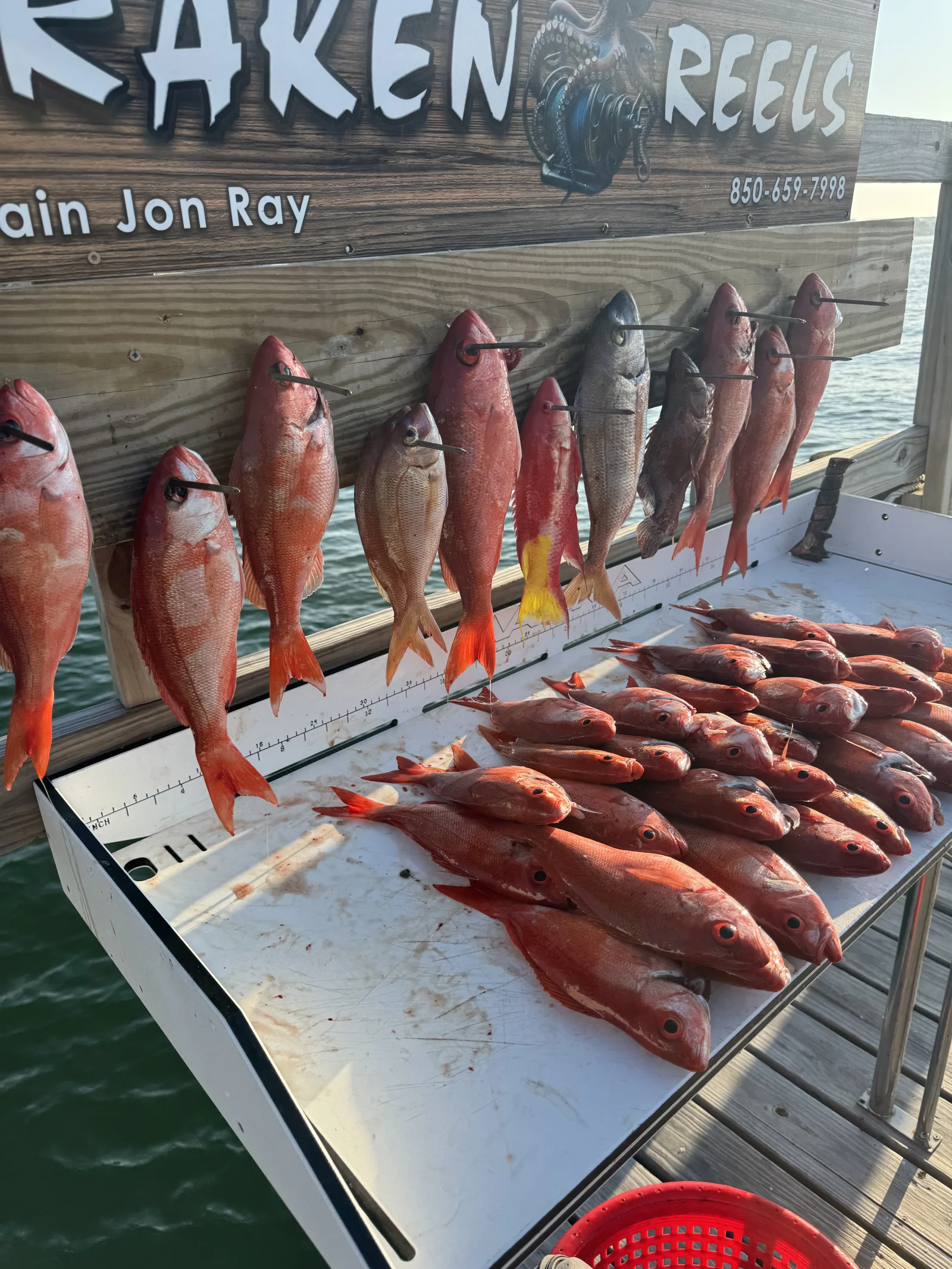 Fishing in Destin