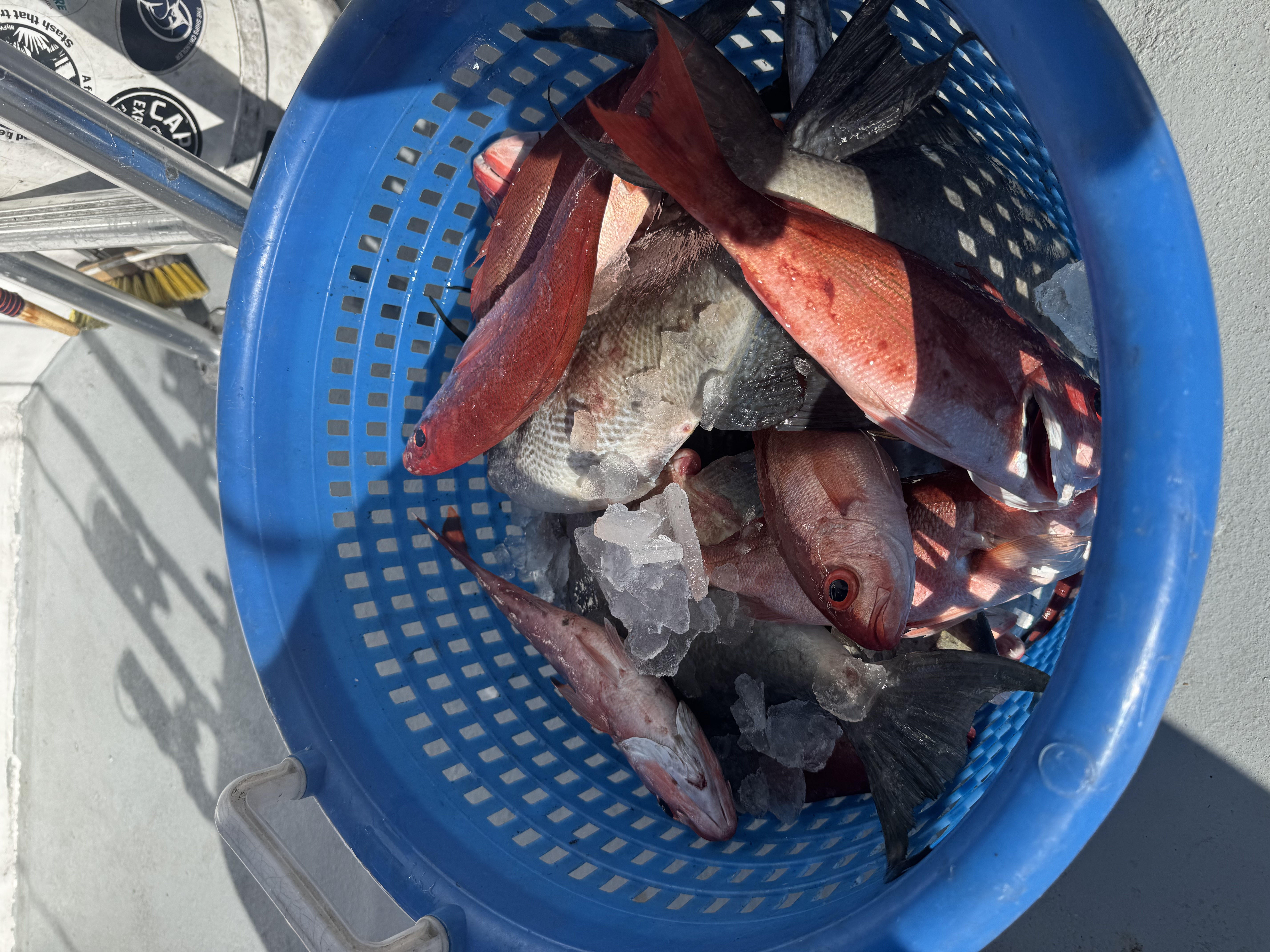 Fishing in Destin
