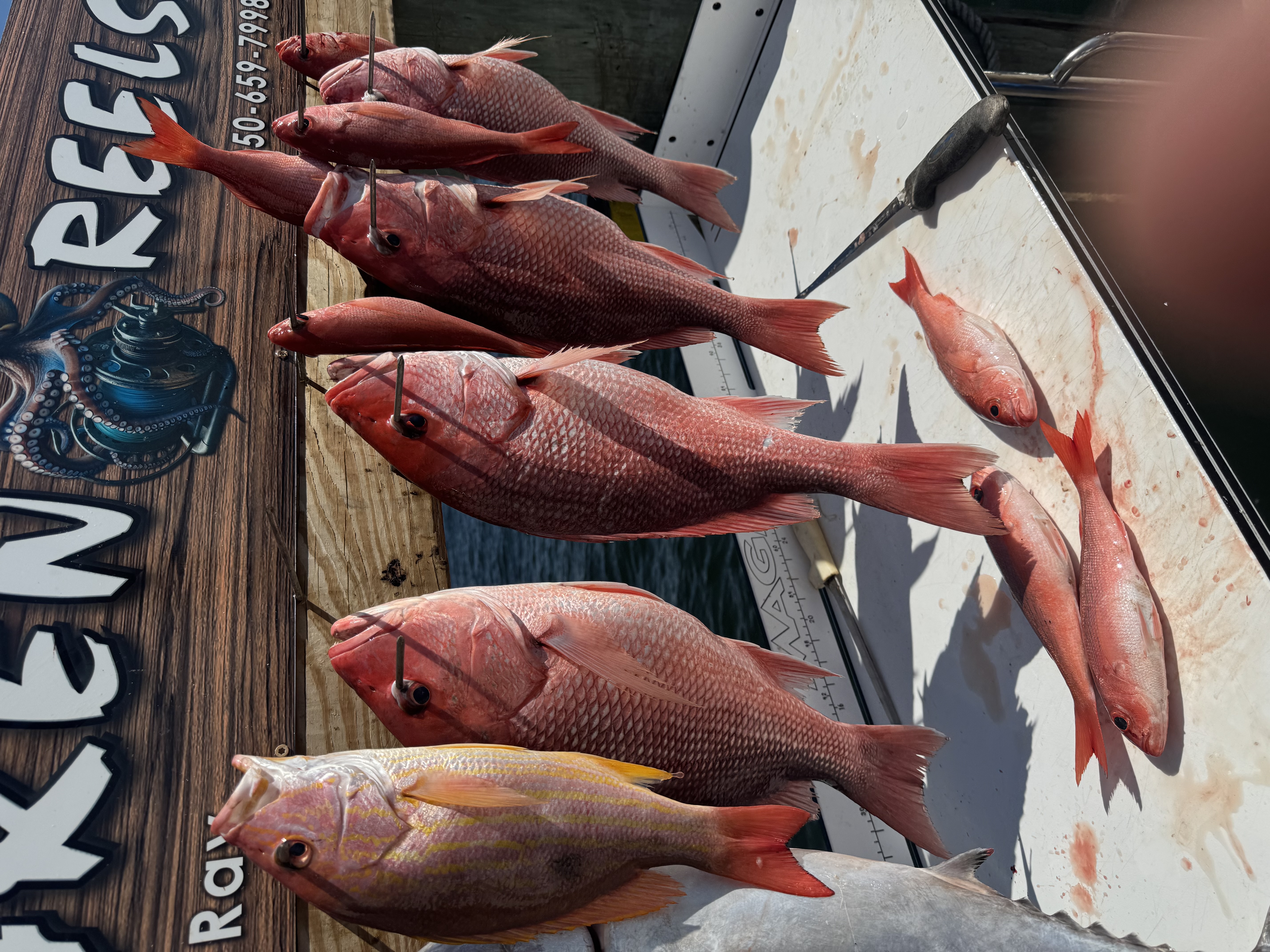 Fishing in Destin