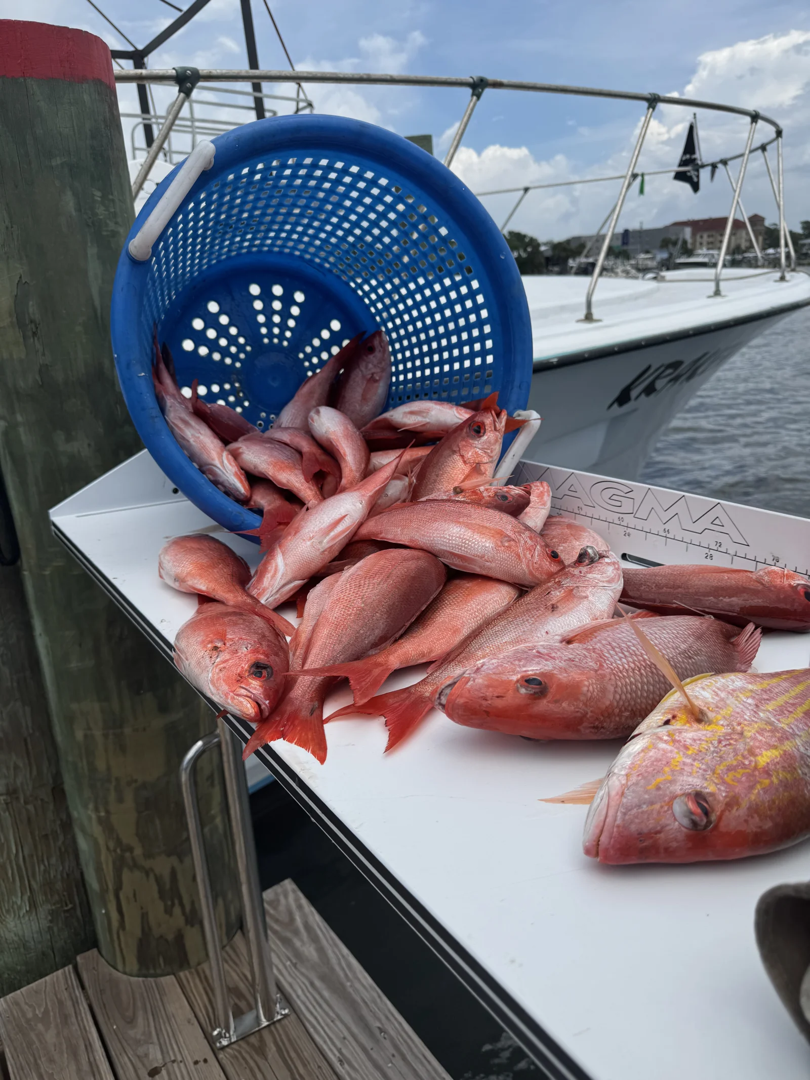 Fishing in Destin