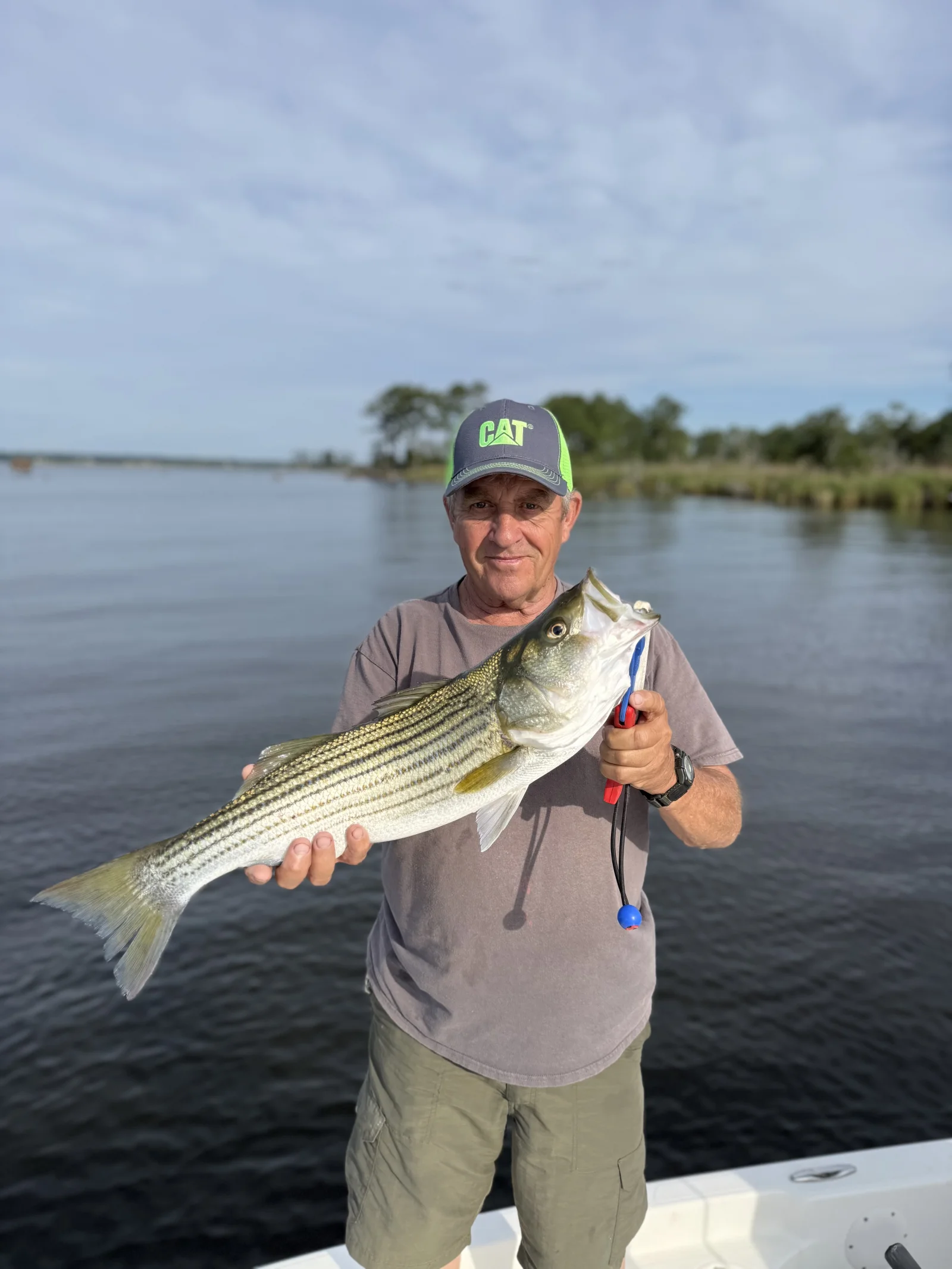 Speckled Trout And Red Drum Trio