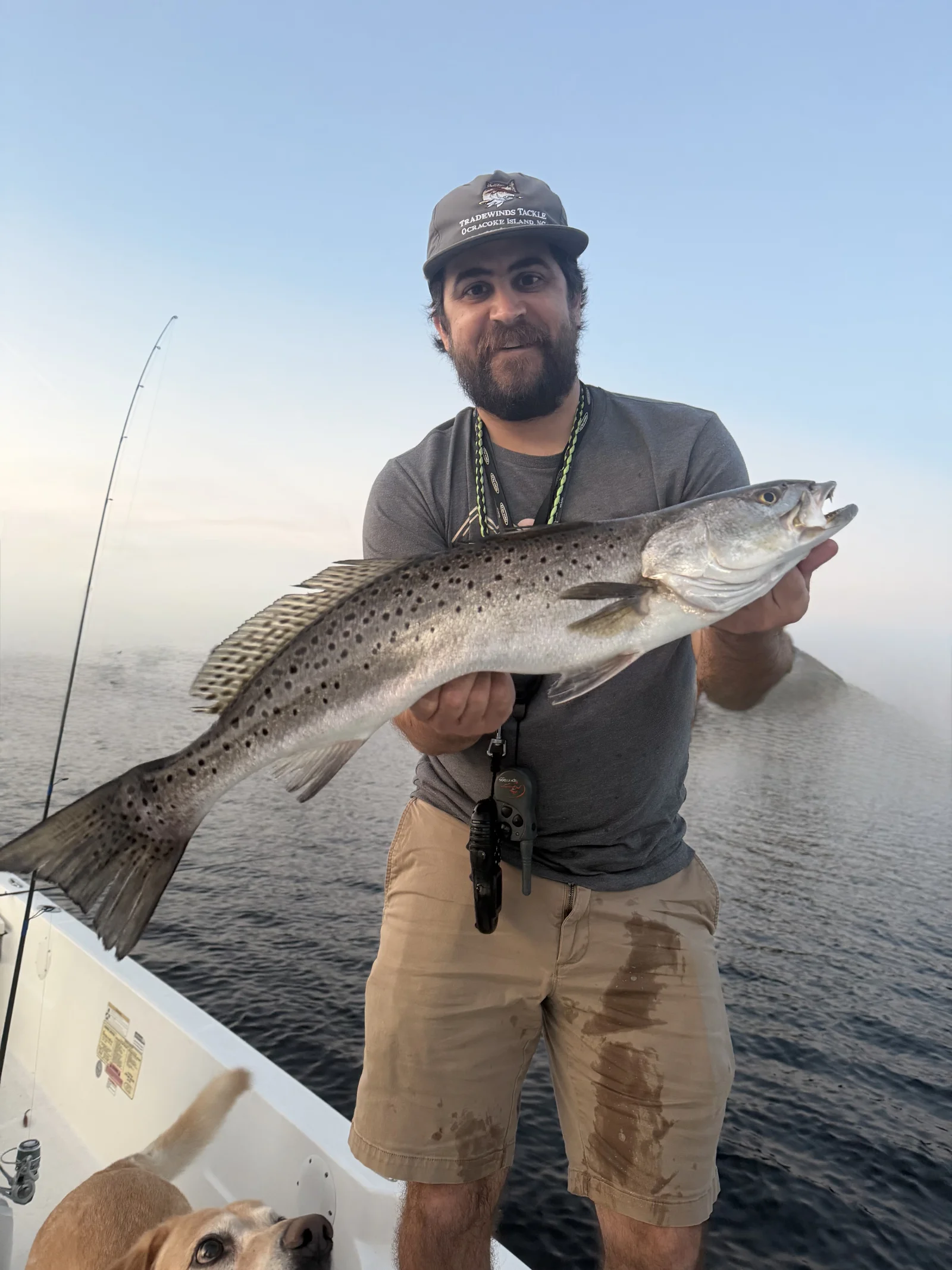 Speckled Trout And Red Drum Trio
