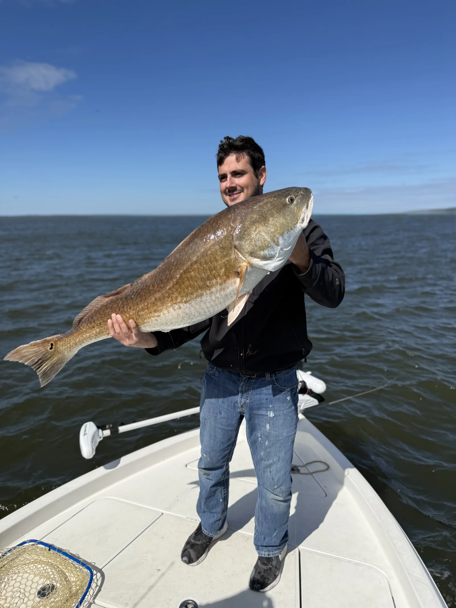 Speckled Trout And Red Drum Trio