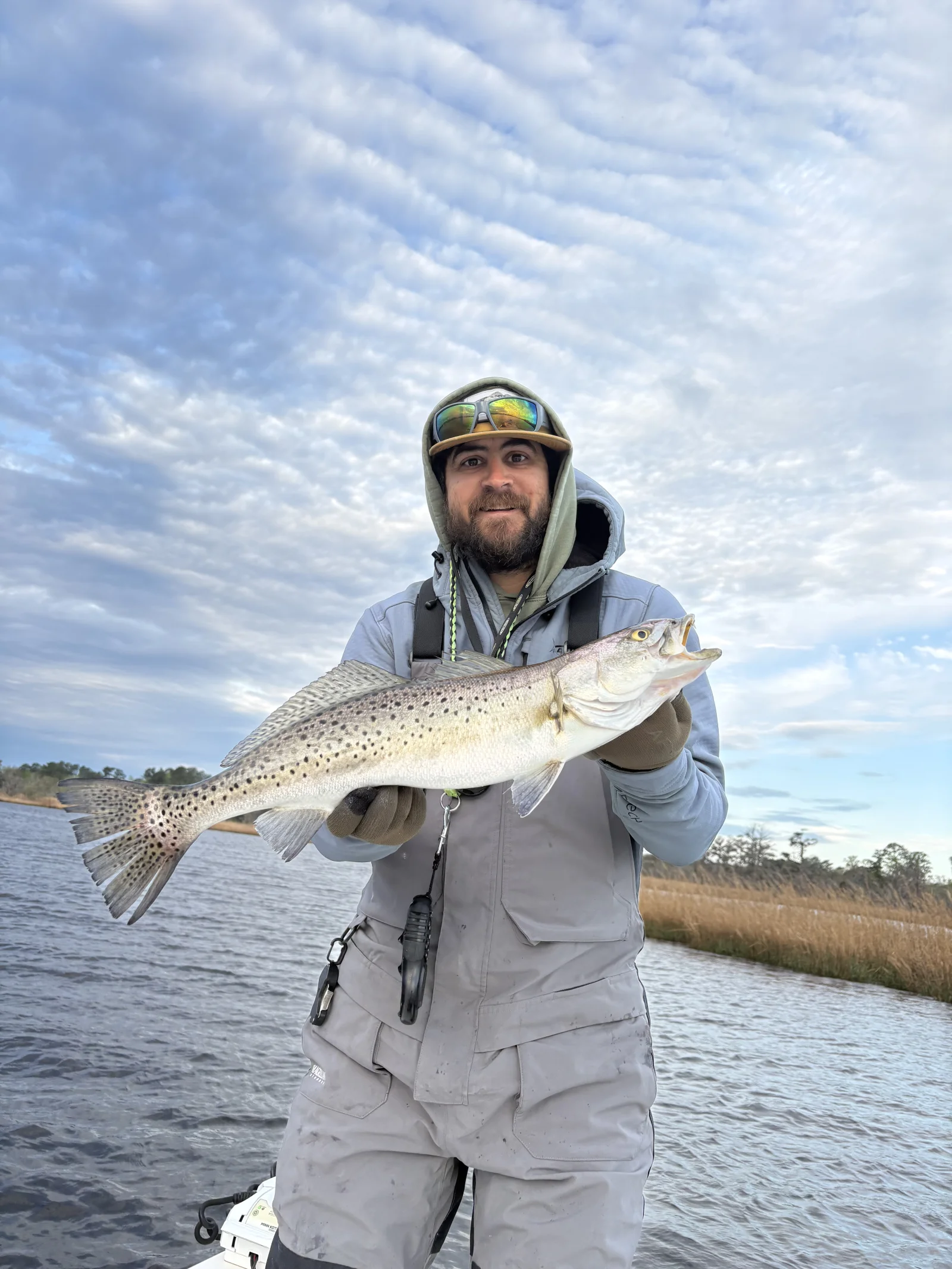 Speckled Trout And Red Drum Trio