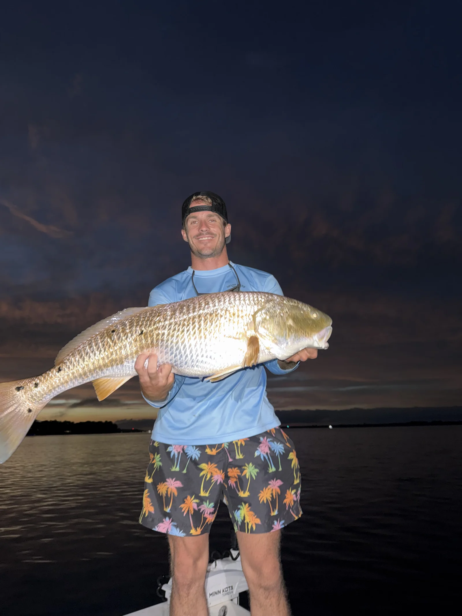 Speckled Trout And Red Drum Trio