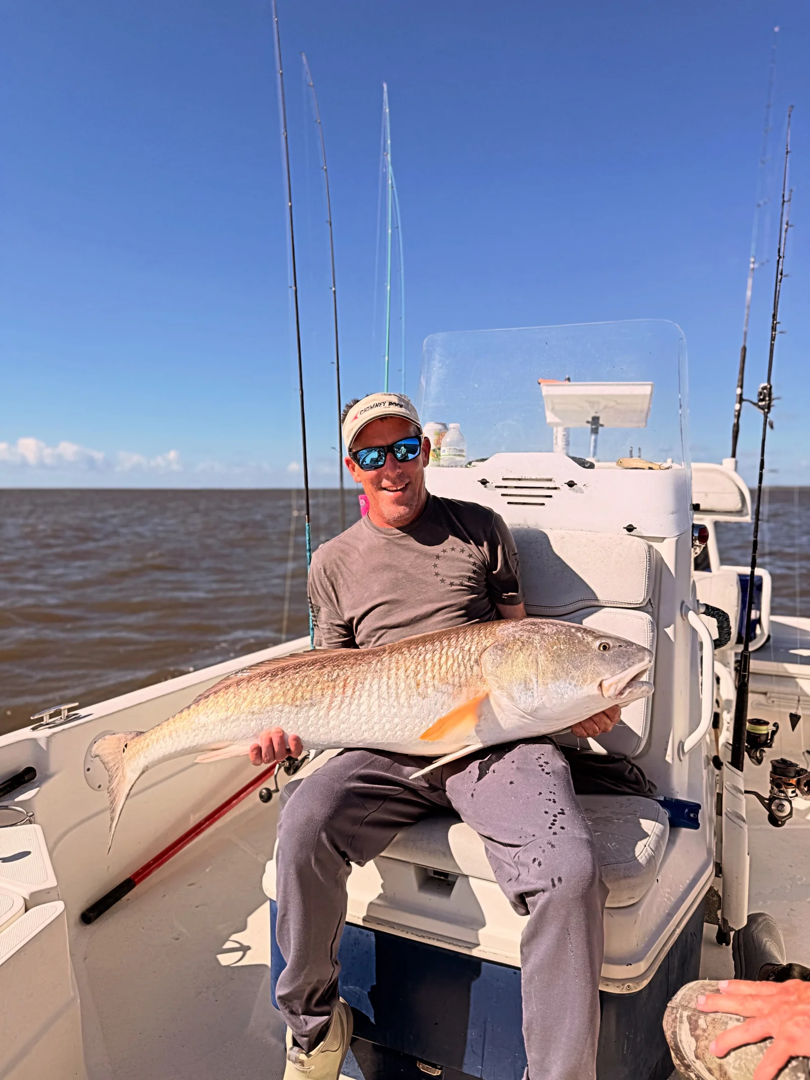Speckled Trout And Red Drum Trio