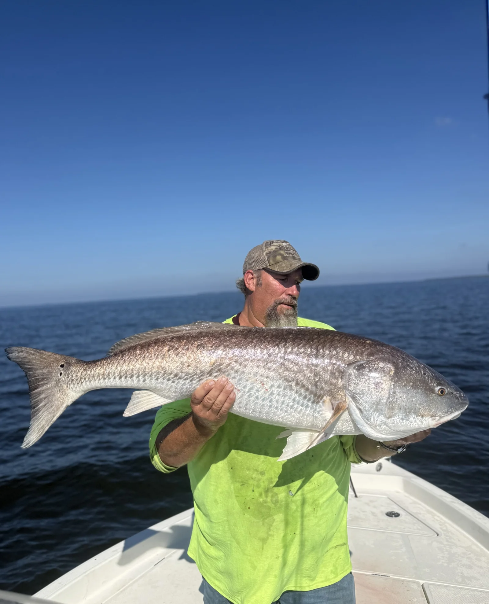 Speckled Trout And Red Drum Trio