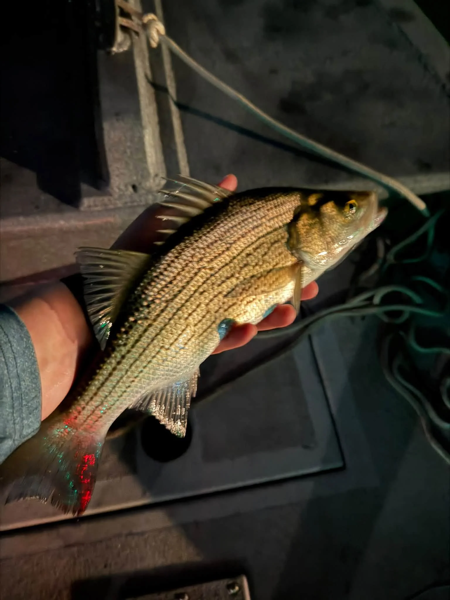 Guided Float Trip