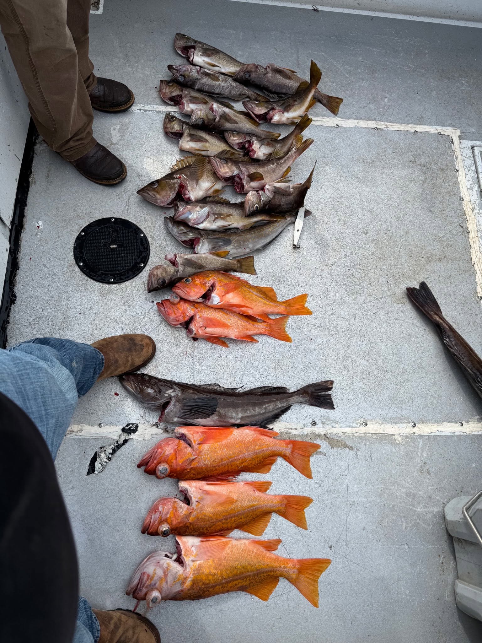 Rock Fish Fishing Trip