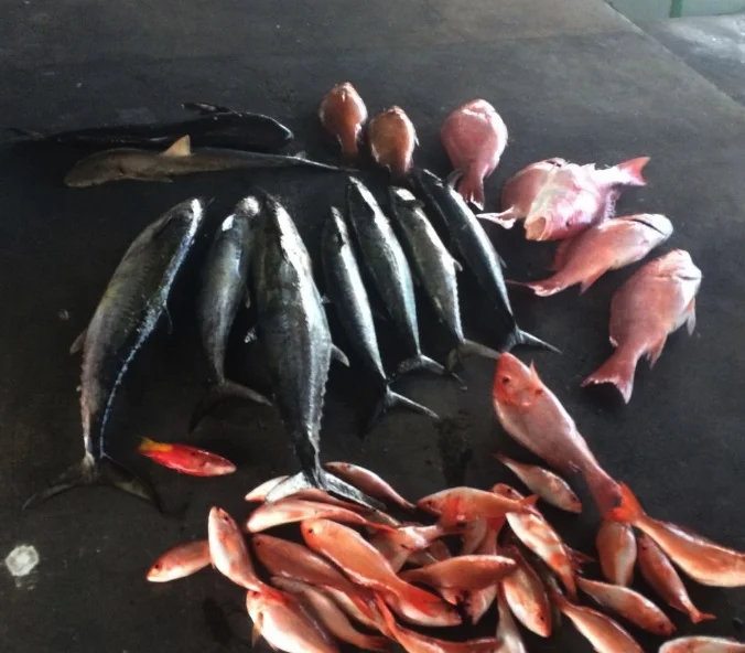 Fishing in Destin
