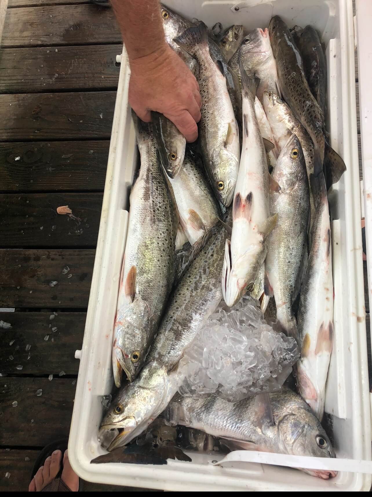 Fishing in Destin
