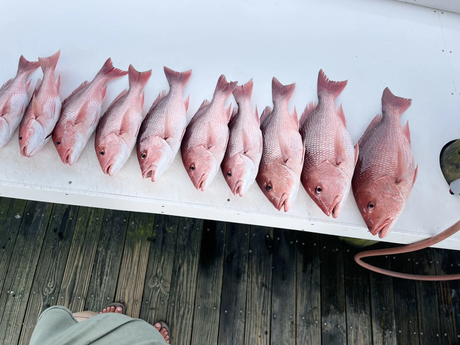 Fishing in Destin