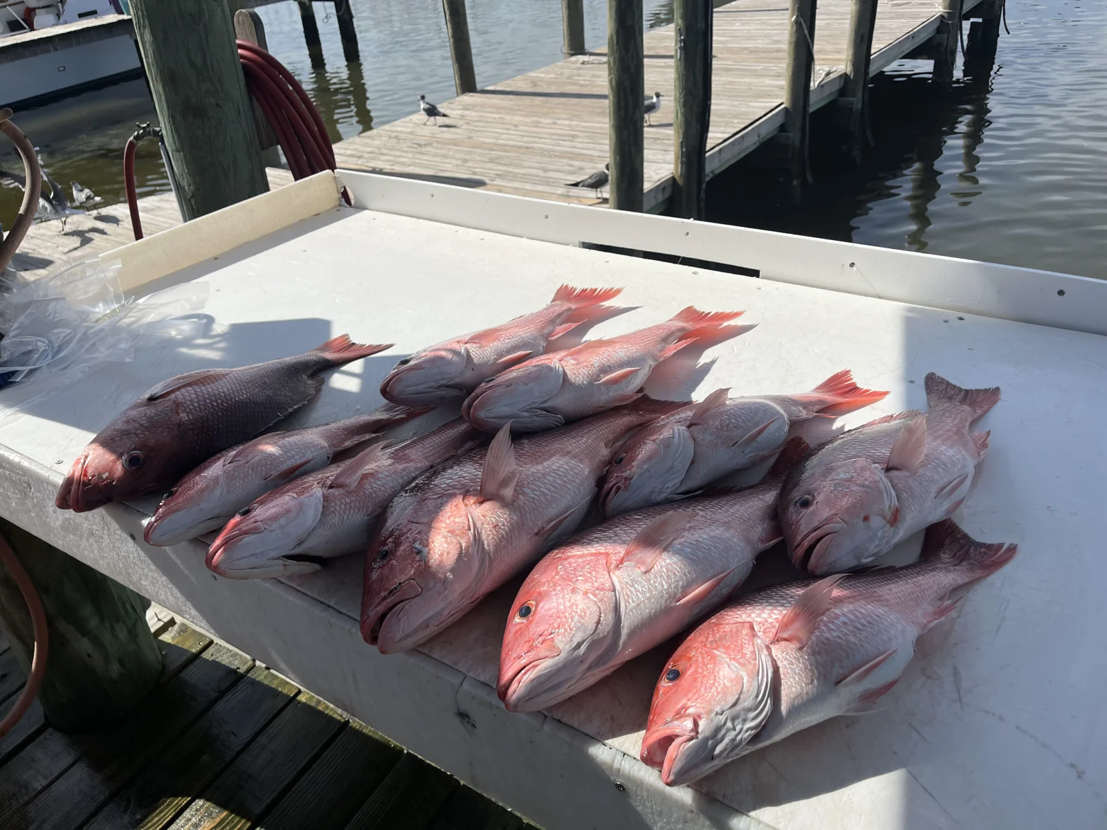 Fishing in Destin