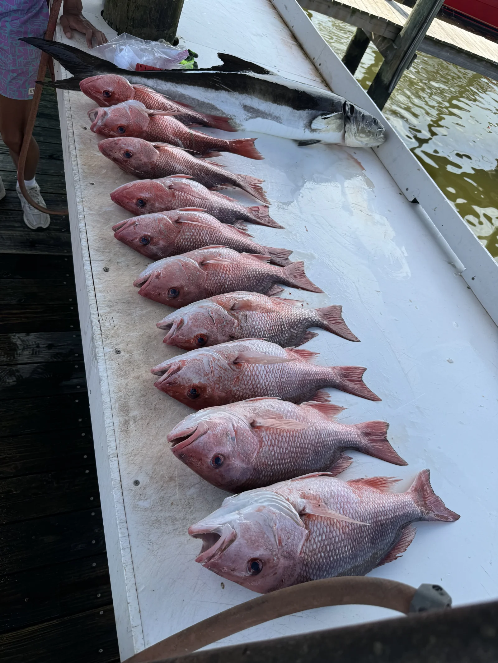 Fishing in Destin