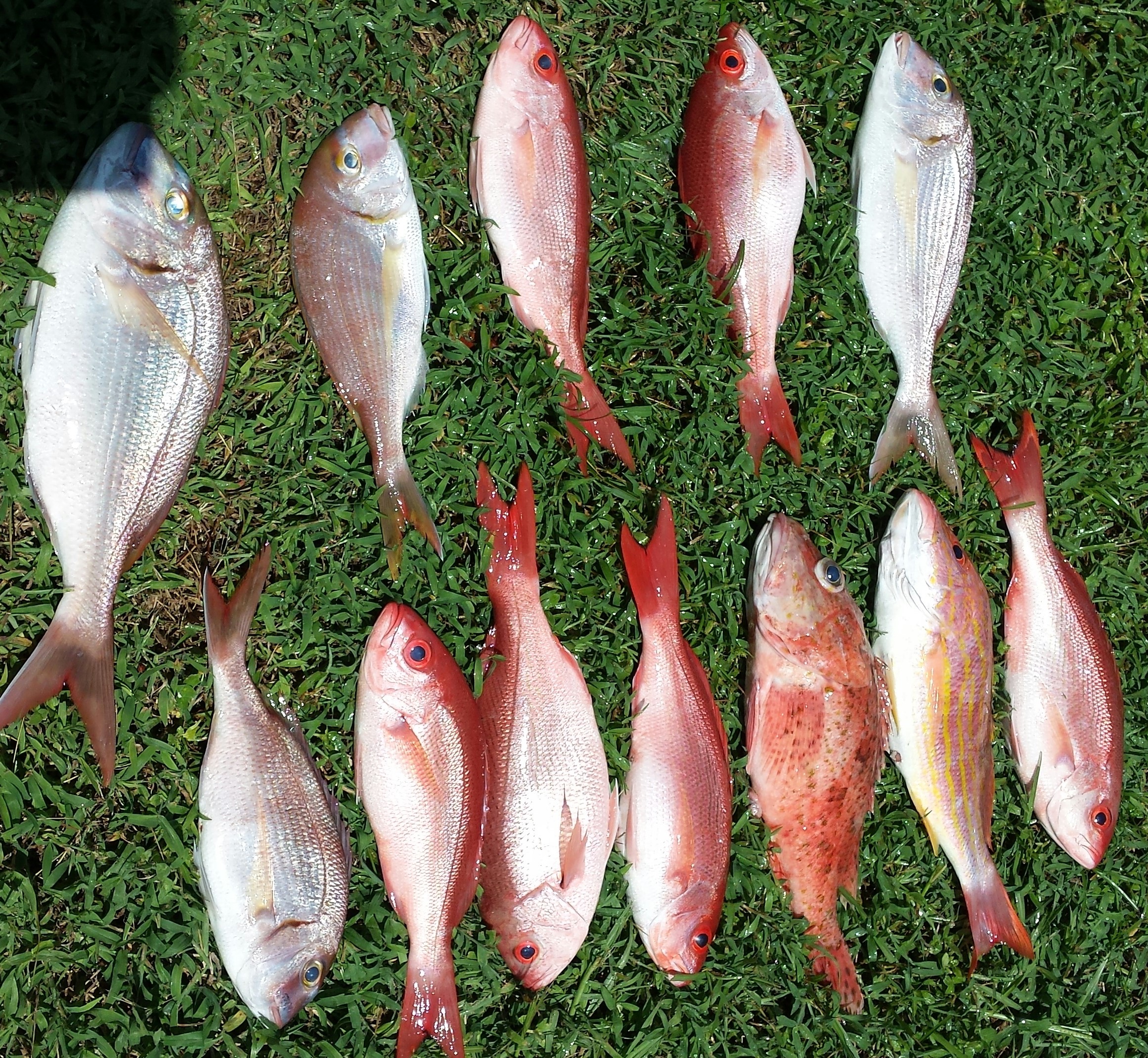 Fishing in Destin