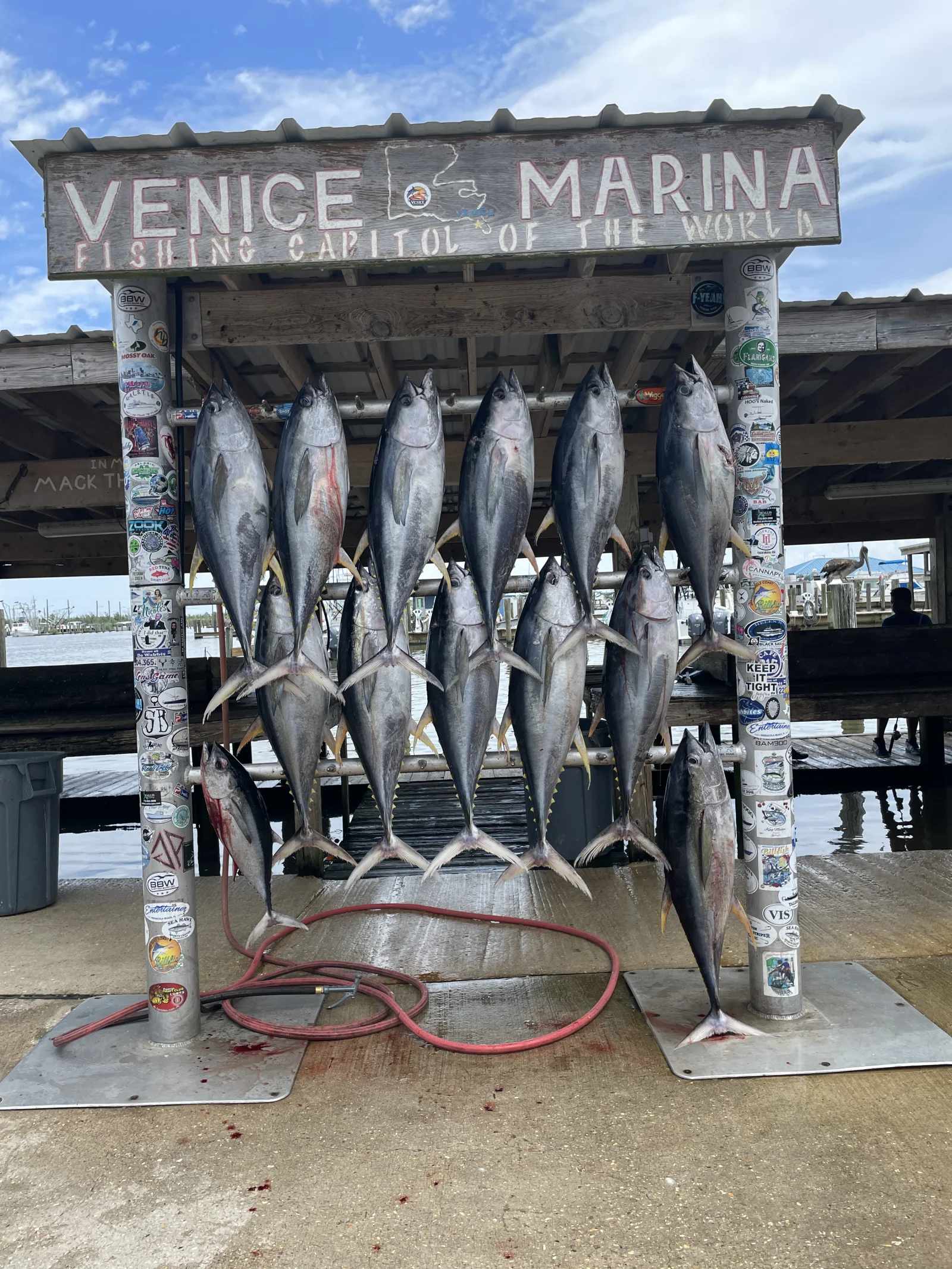 Fishing in Destin