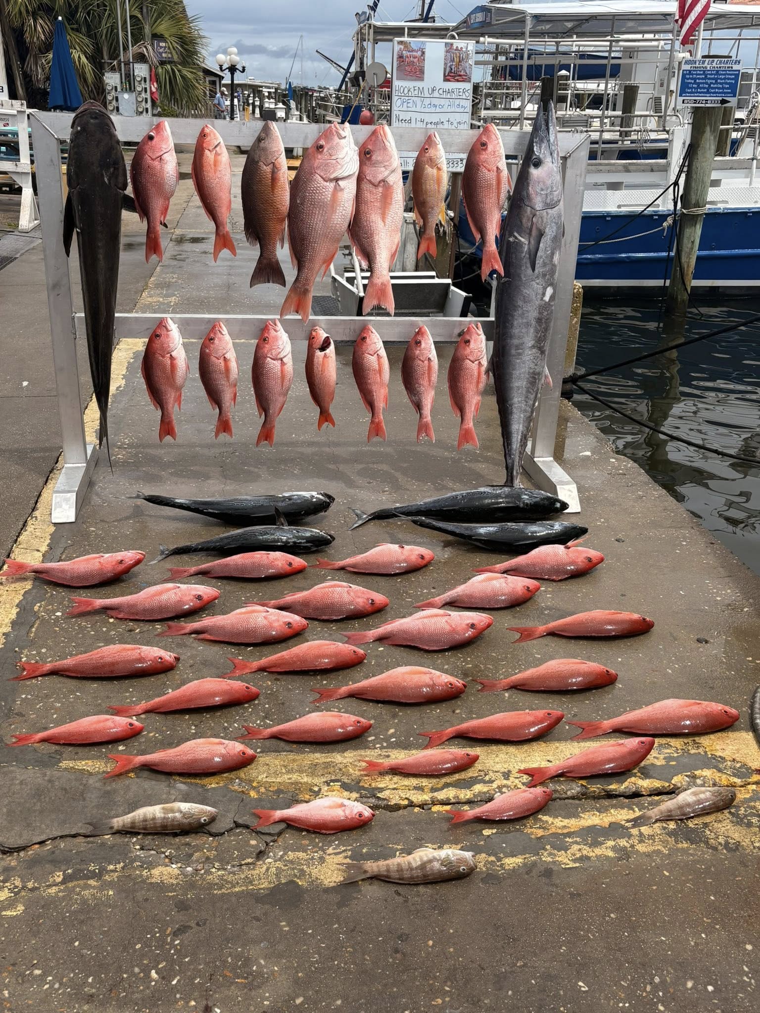 Fishing in Destin