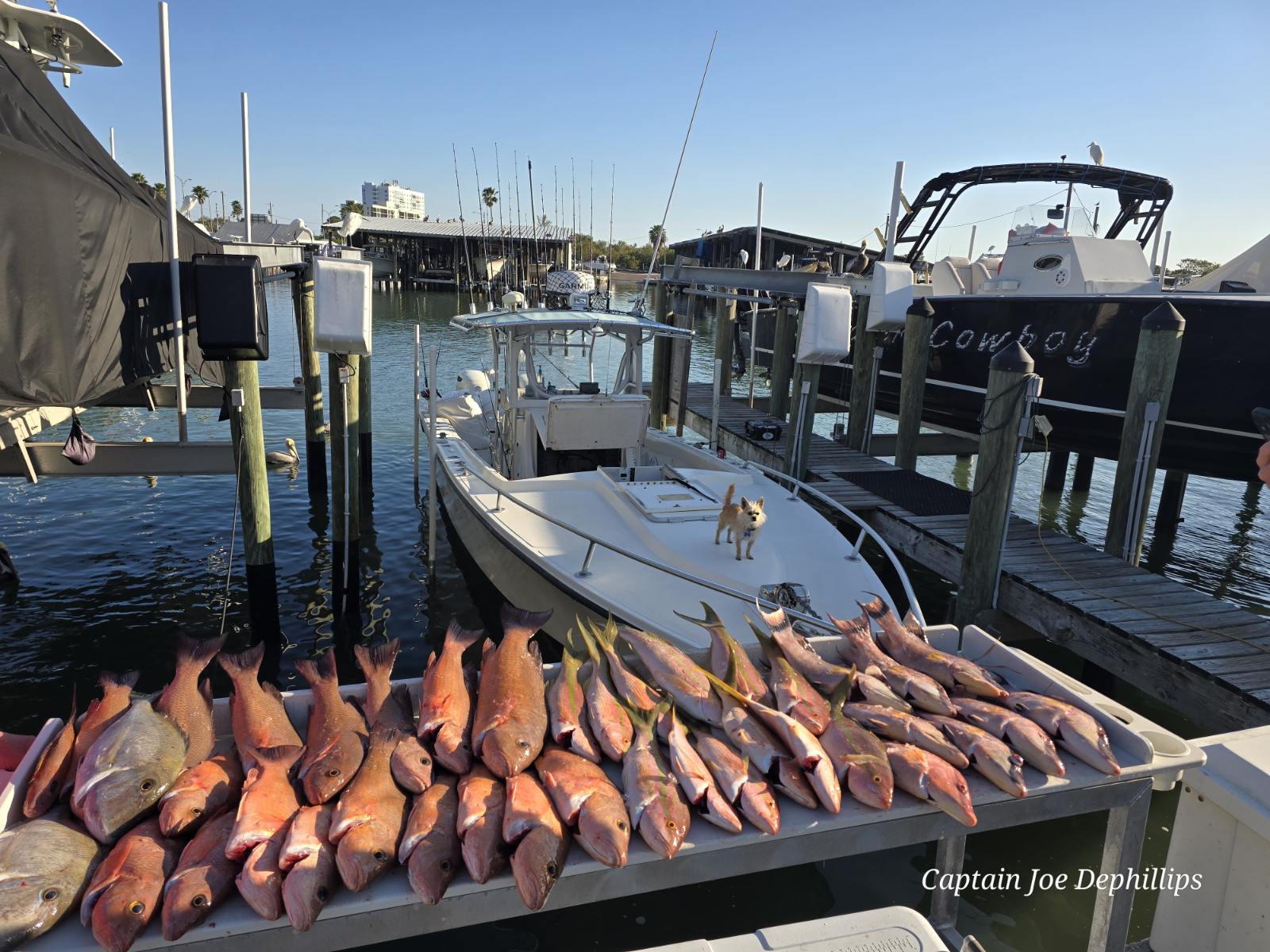Fishing in Destin
