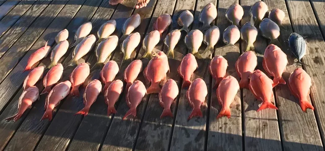 Fishing in Destin