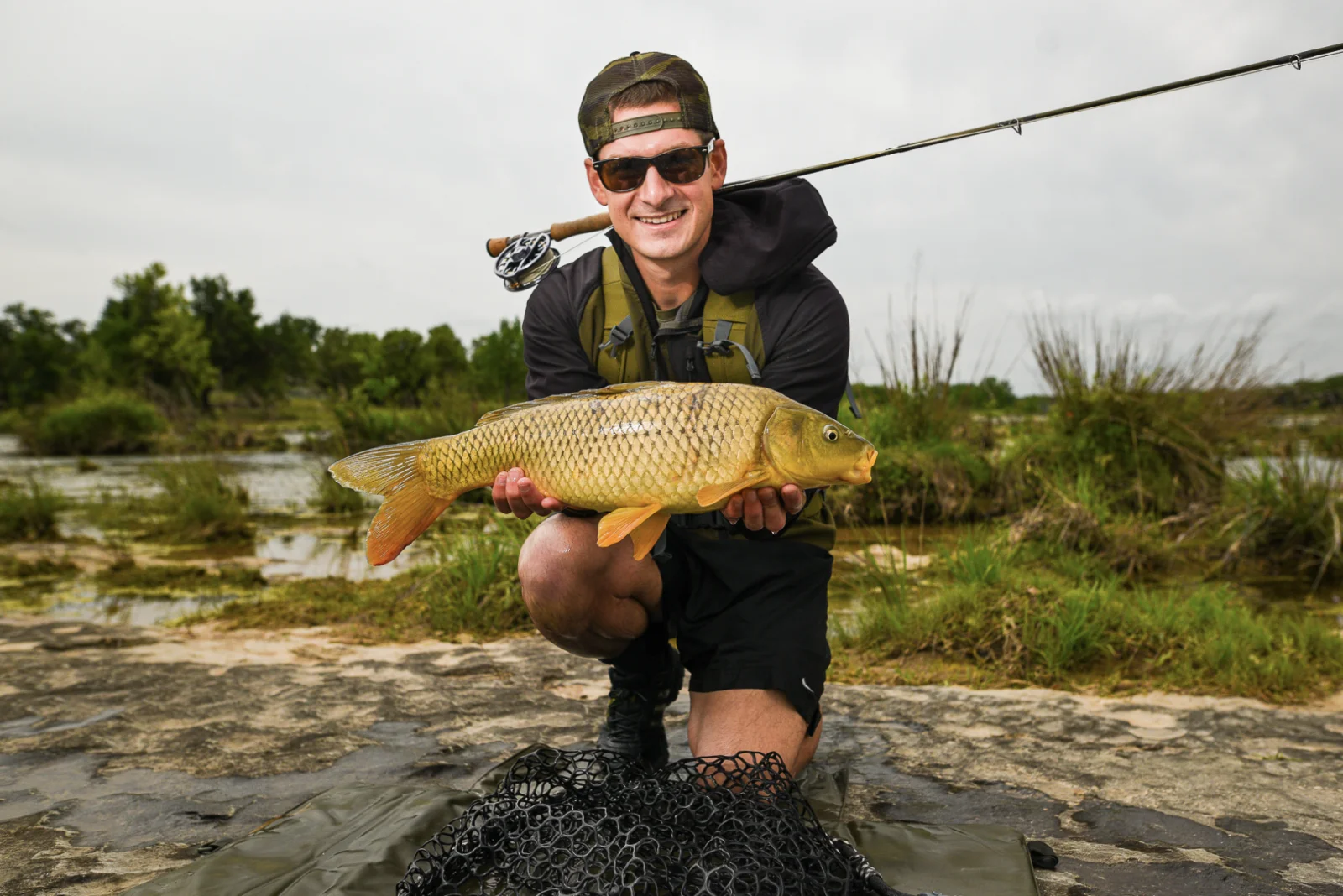 Carp On The Fly - Austin, TX