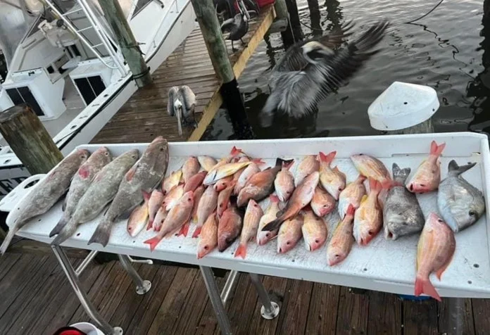 Fishing in Destin