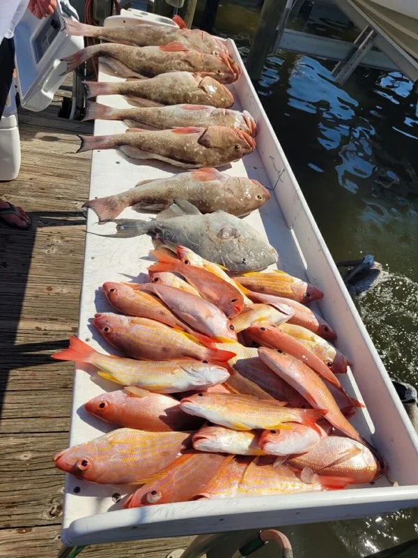 Fishing in Destin