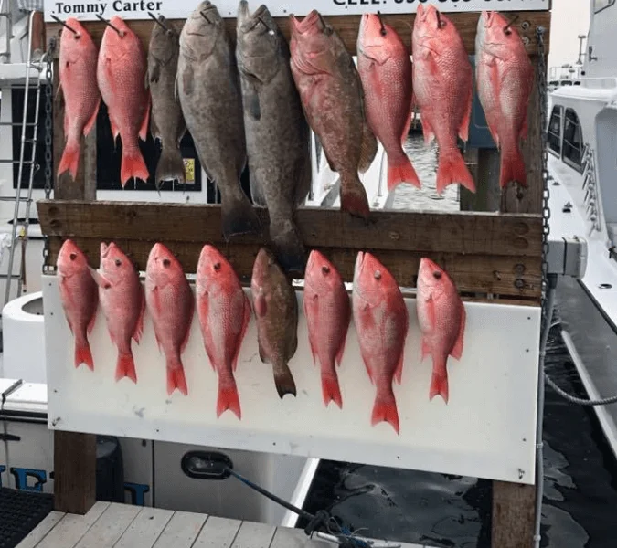 Fishing in Destin
