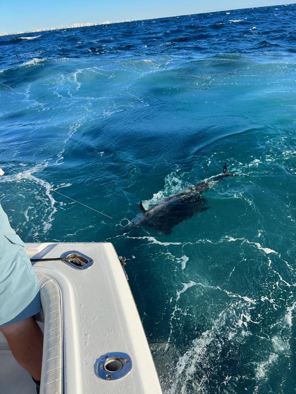 Fishing in Destin