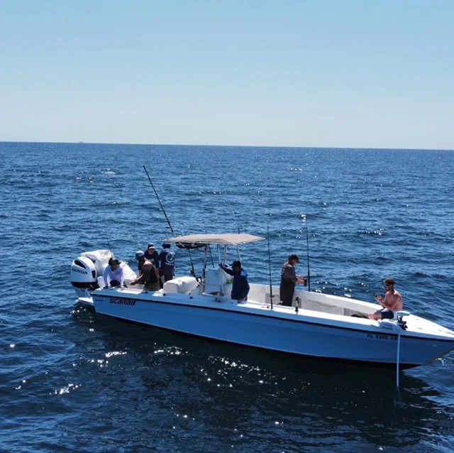 Offshore Hook-Up
