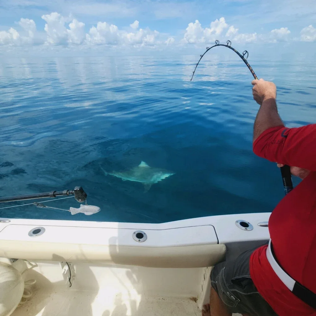8 Hour Offshore Trip