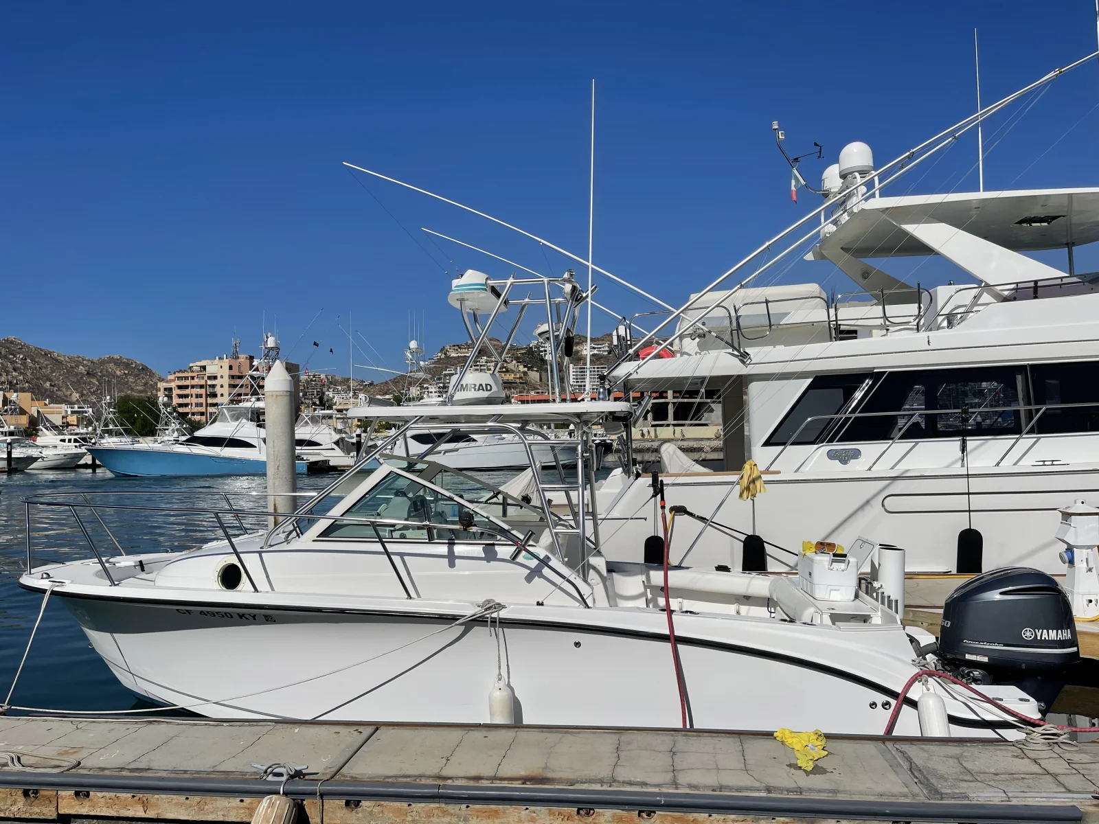 Cabo Trophy Hunt - 28’ Cuddy Cabin