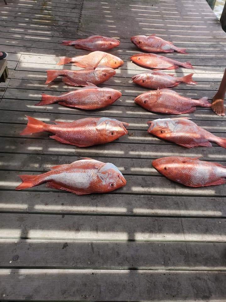 Fishing in Destin