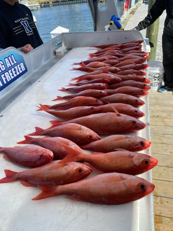 Fishing in Destin