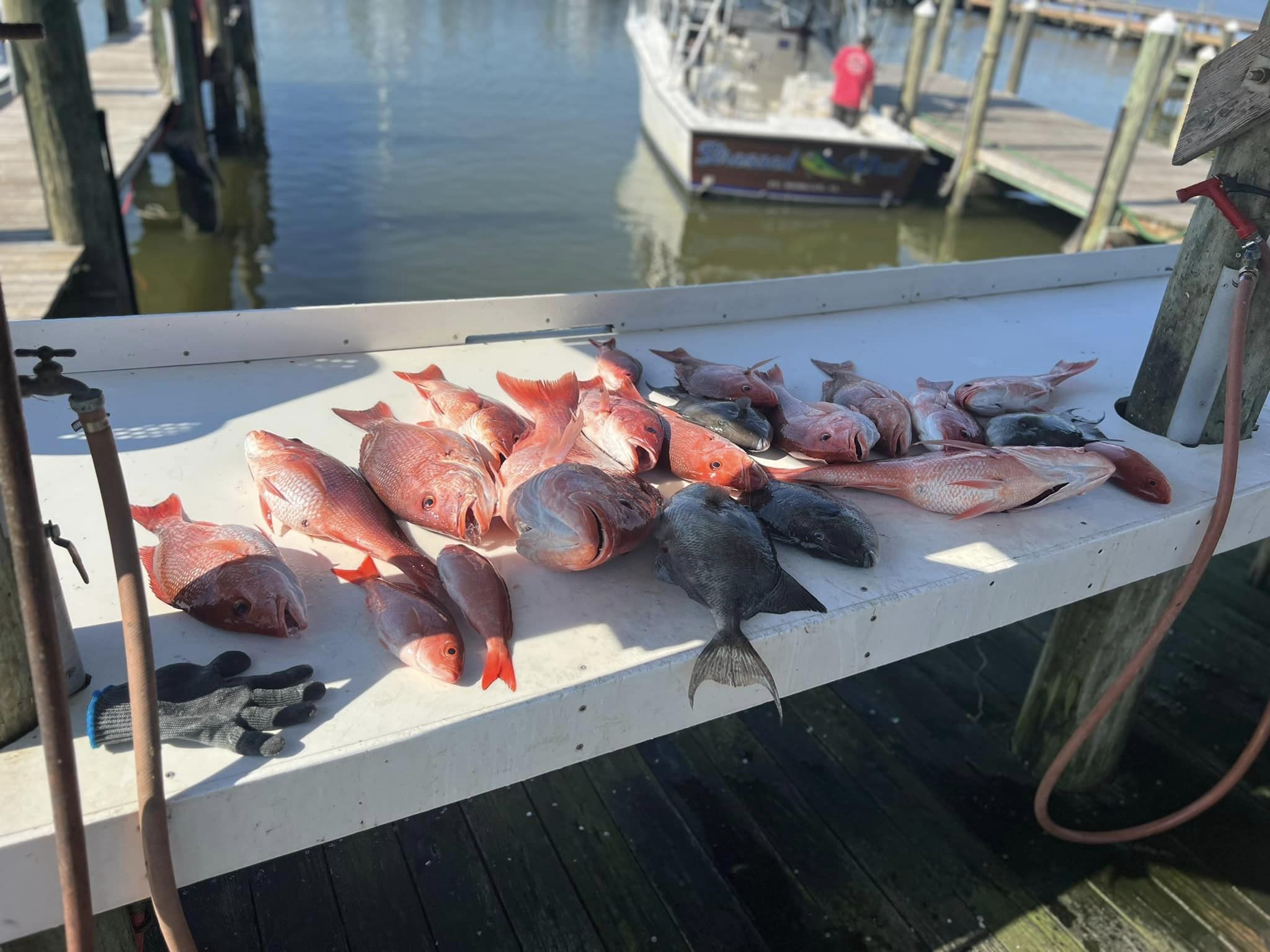Fishing in Destin