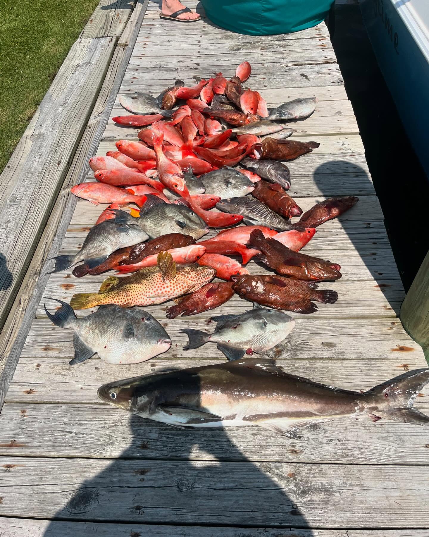 Fishing in Destin