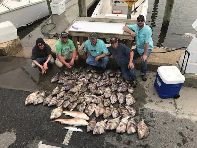 Fishing in Destin