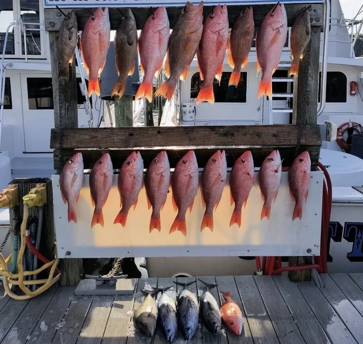 Fishing in Destin