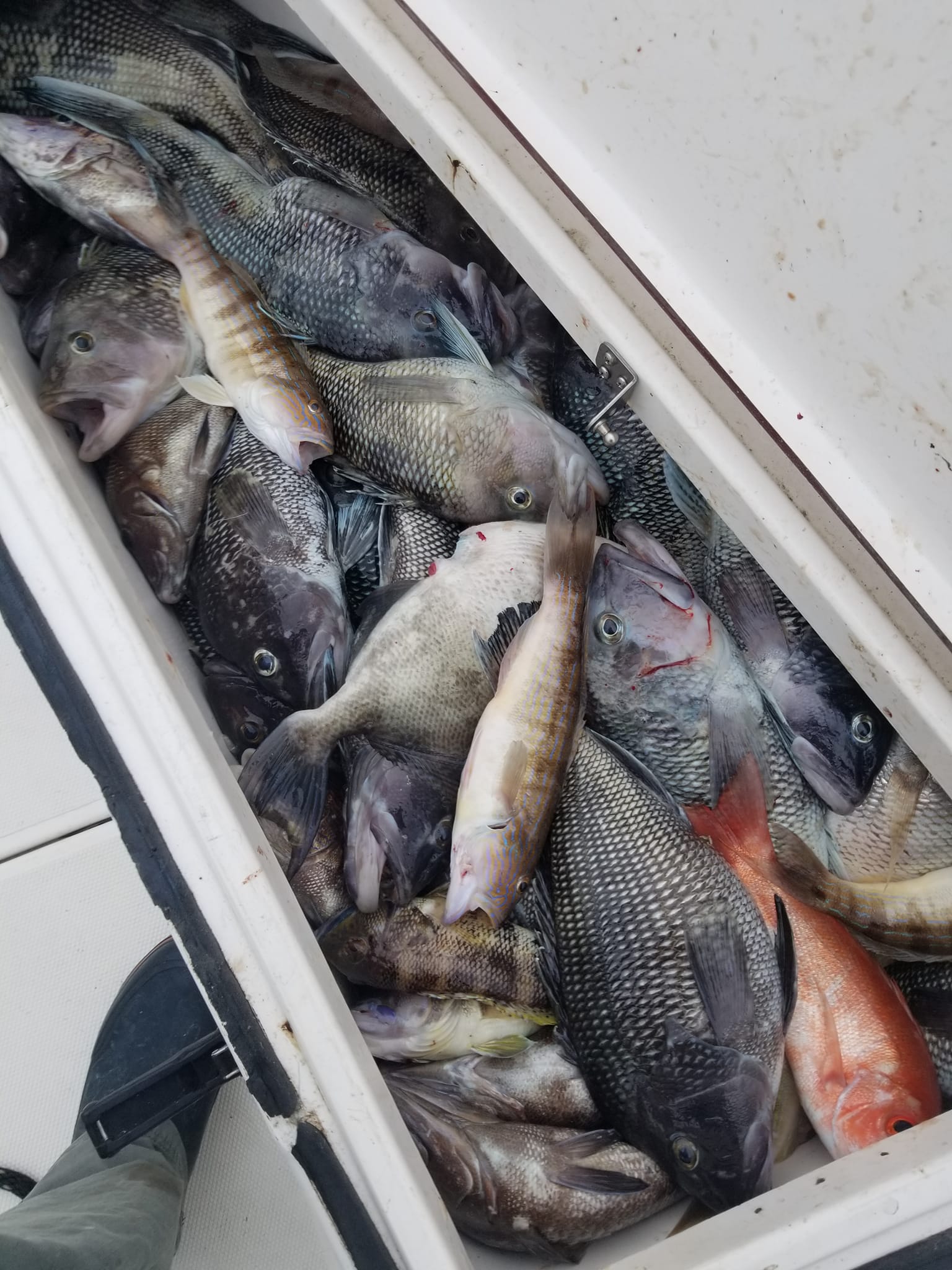 Fishing in Destin