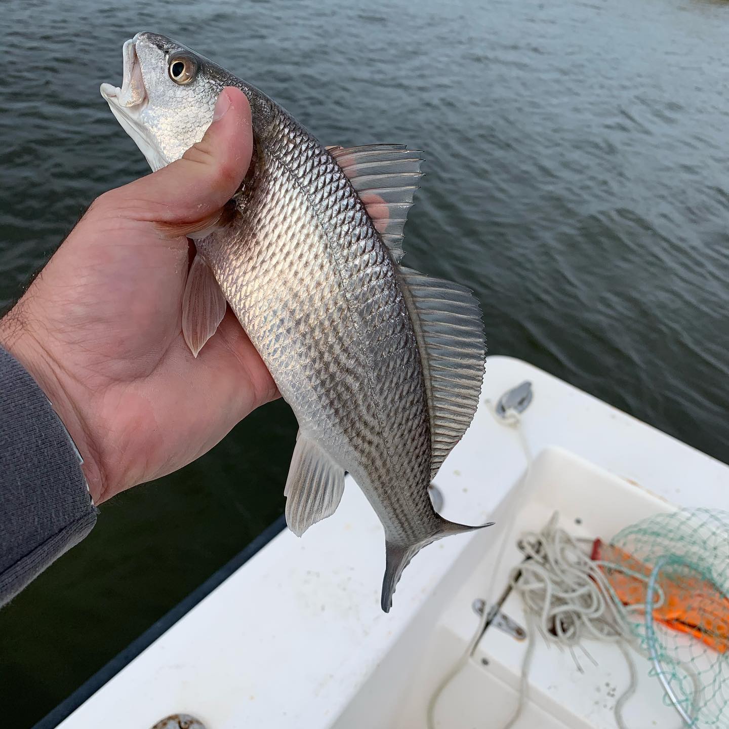 OBX Inshore Slam