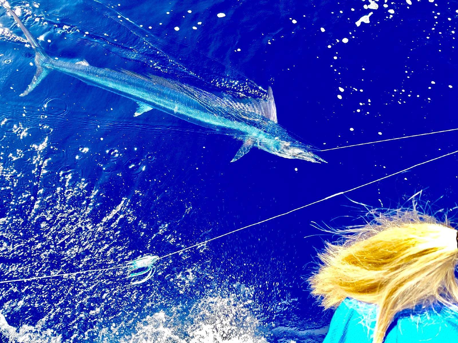 Maui Sportfishing