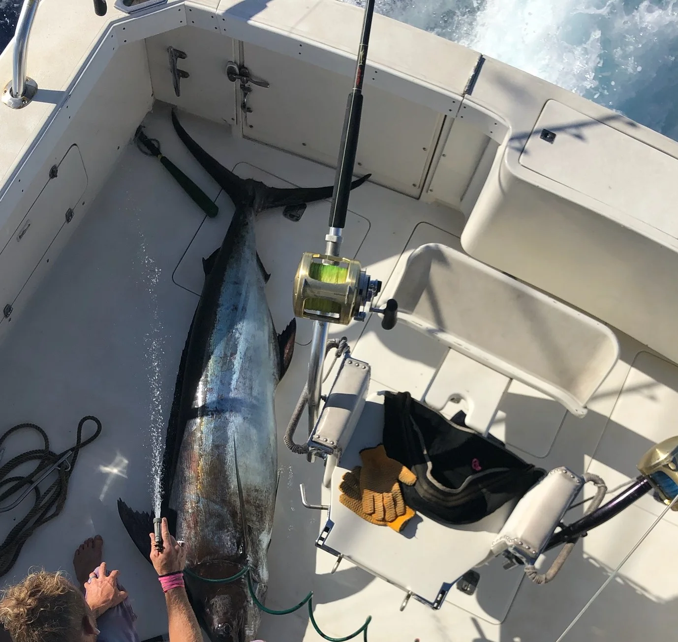 Maui Sportfishing