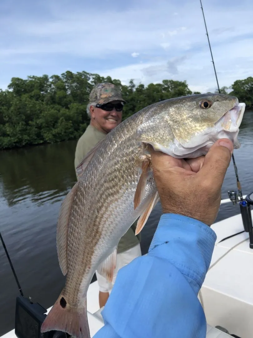 Everglades Super Slam