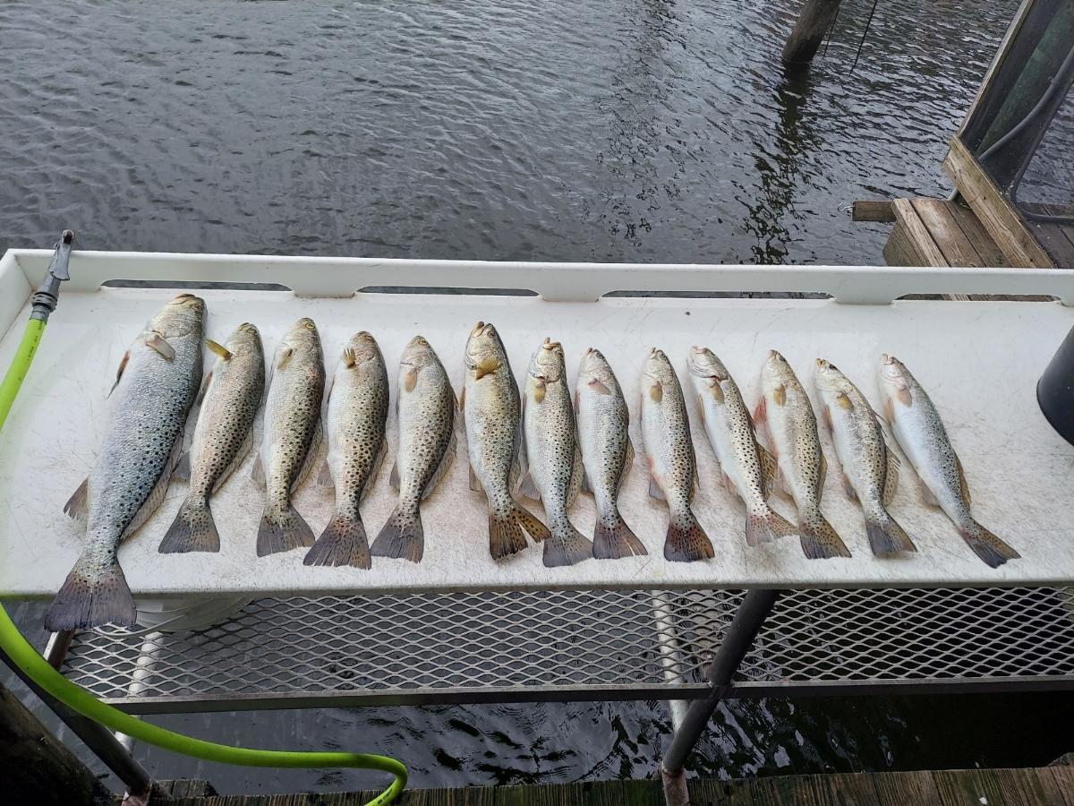 Fishing in Destin
