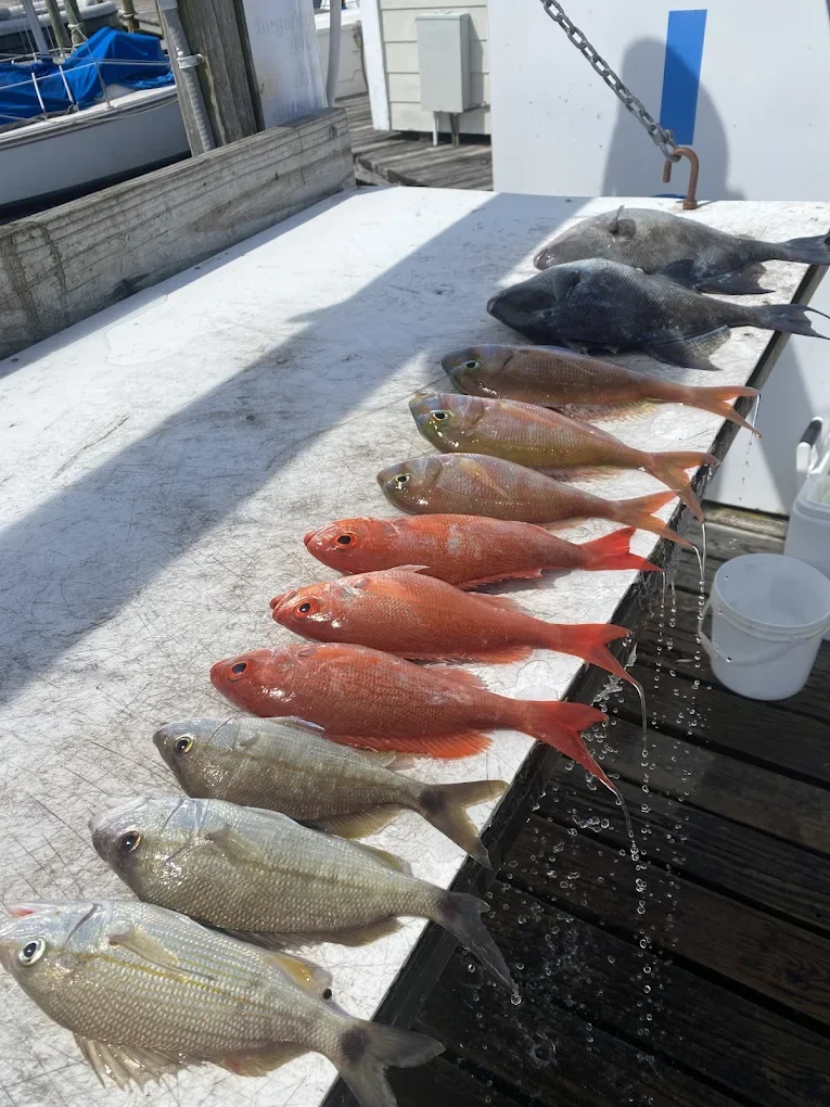 Fishing in Destin
