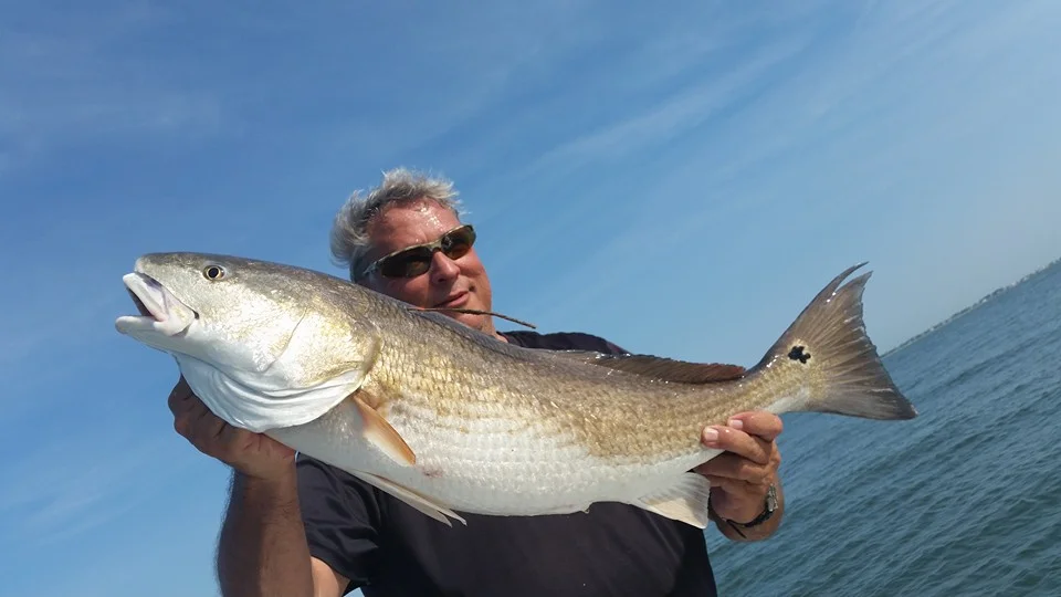 South Carolina Redfish on the Fly