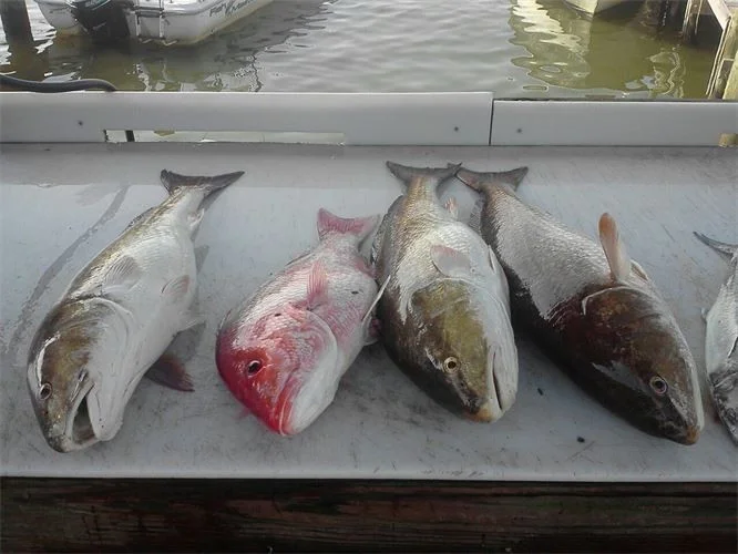 Fishing in Destin